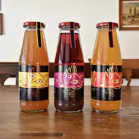 Bed & Breakfast Da Kaethy