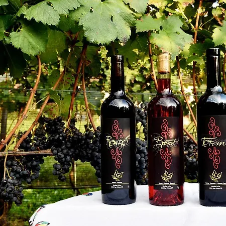 Bed & Breakfast Da Kaethy