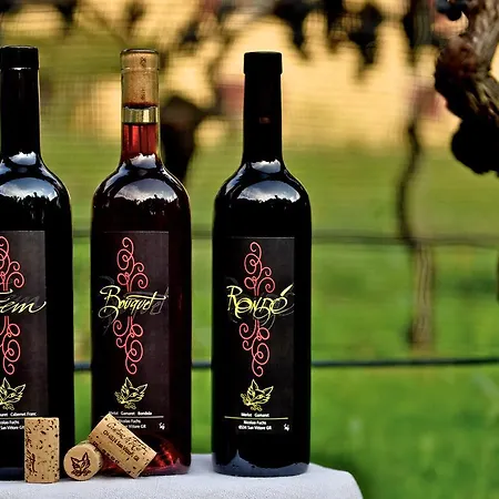 Da Kaethy Nocleg ze śniadaniem Grono